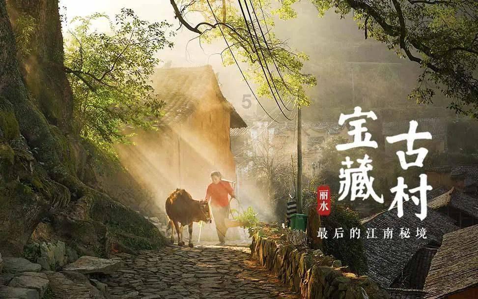 拯救昆虫群