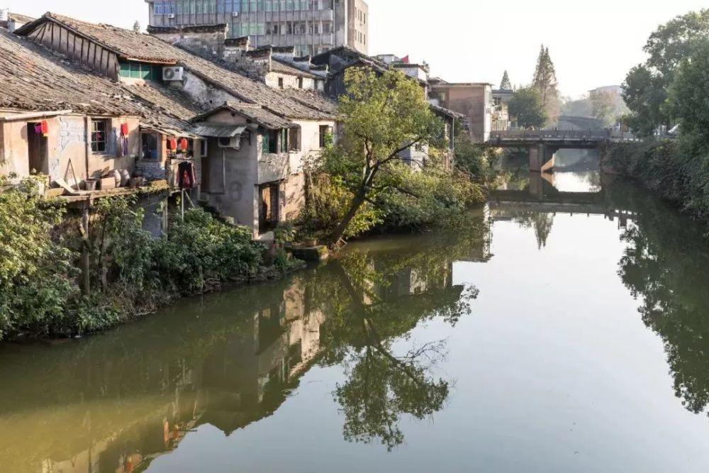 洛克王国