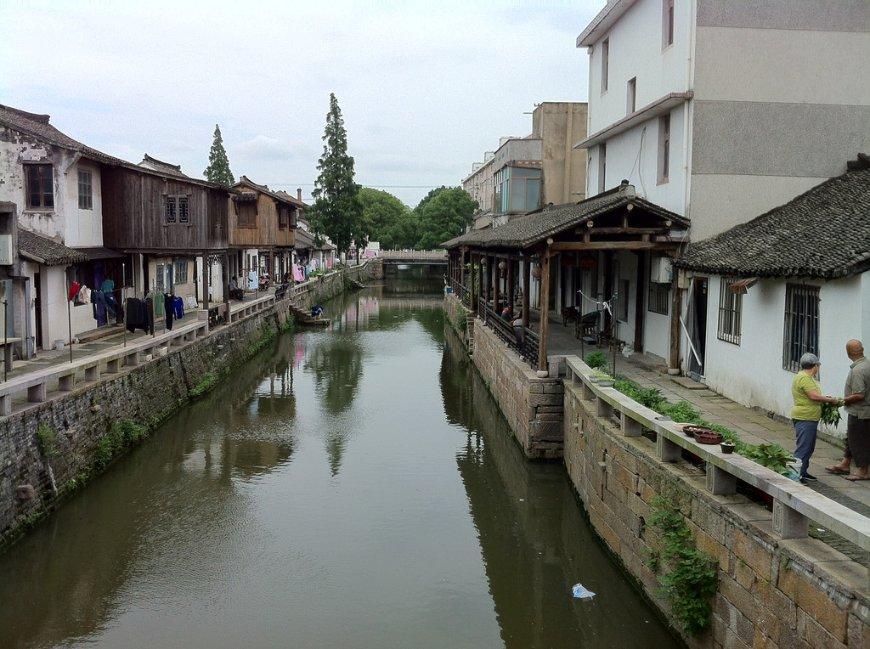 红树林逃生